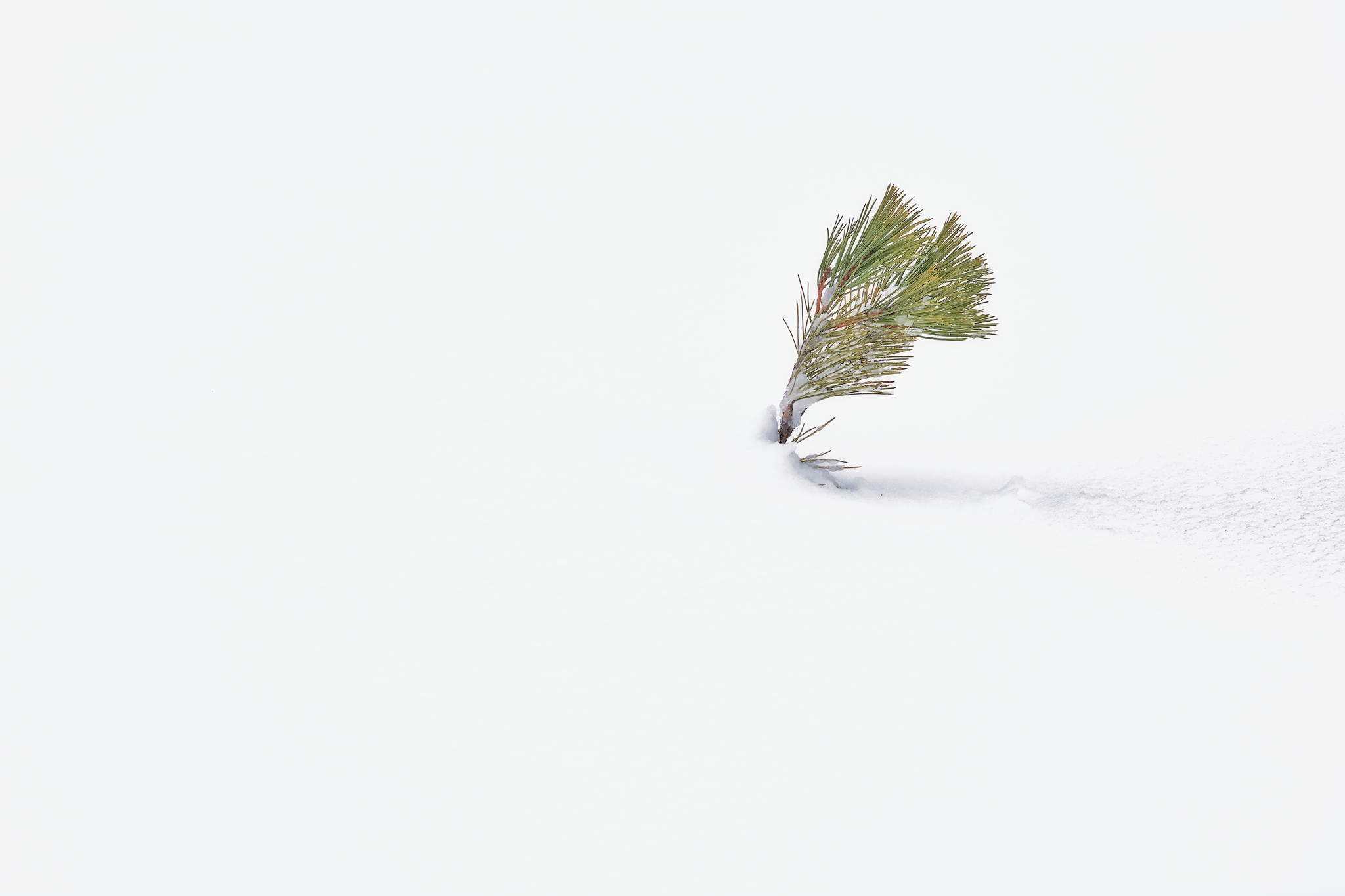 White silence, fine art photograph from the Sicily collection by Fabrizio Vinciguerra