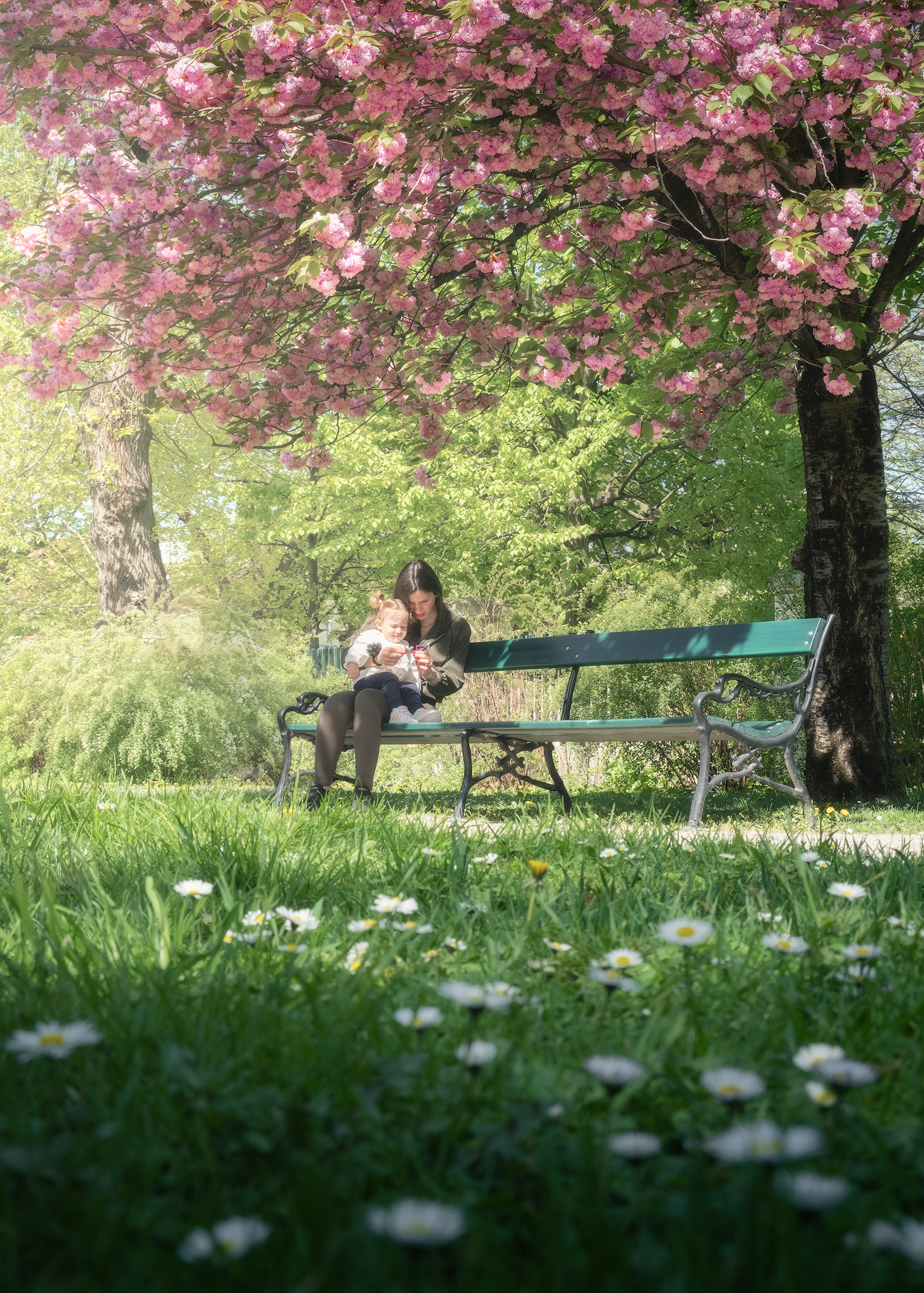 Mother and child sitting beneath a flowering tree in a peaceful Vienna park