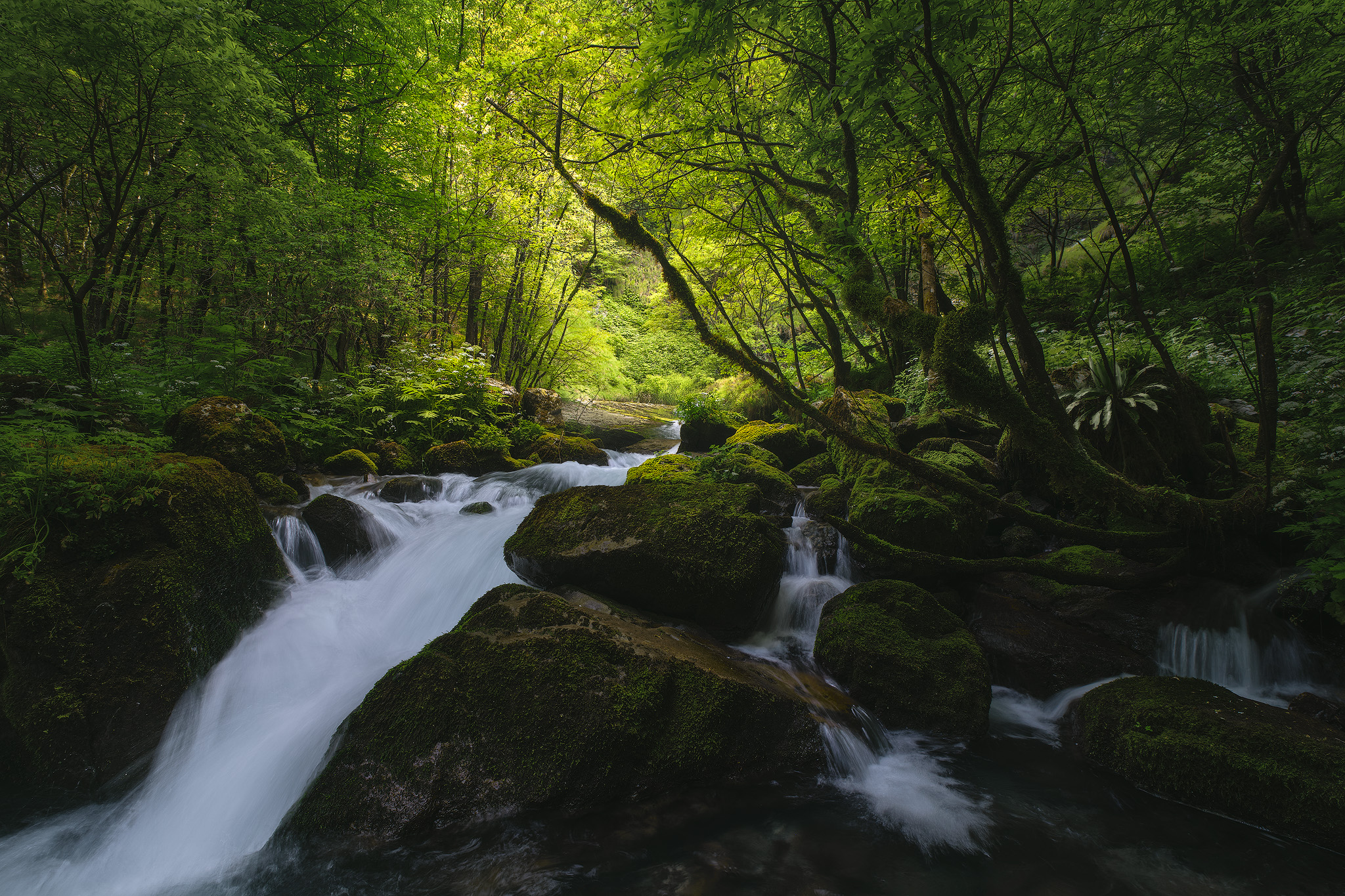 Emerald stream, fine art photograph from the Waterfalls collection by Fabrizio Vinciguerra
