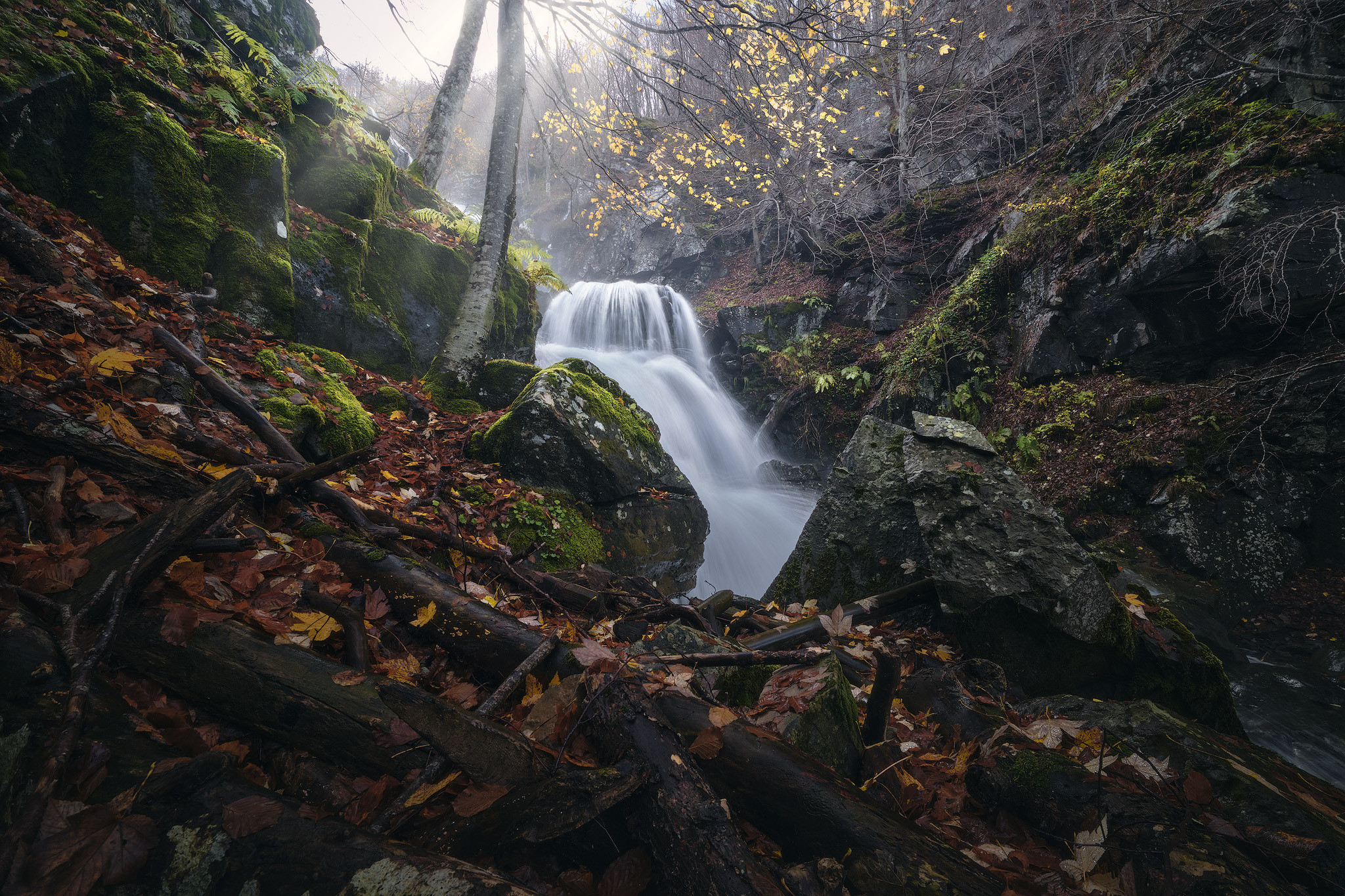 Small waterfall hidden among mossy rocks, fallen branches and forest vegetation