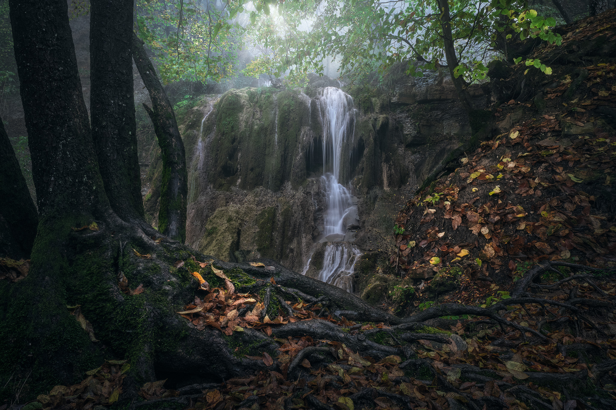 Forest waterfall, fine art photograph from the Waterfalls collection by Fabrizio Vinciguerra