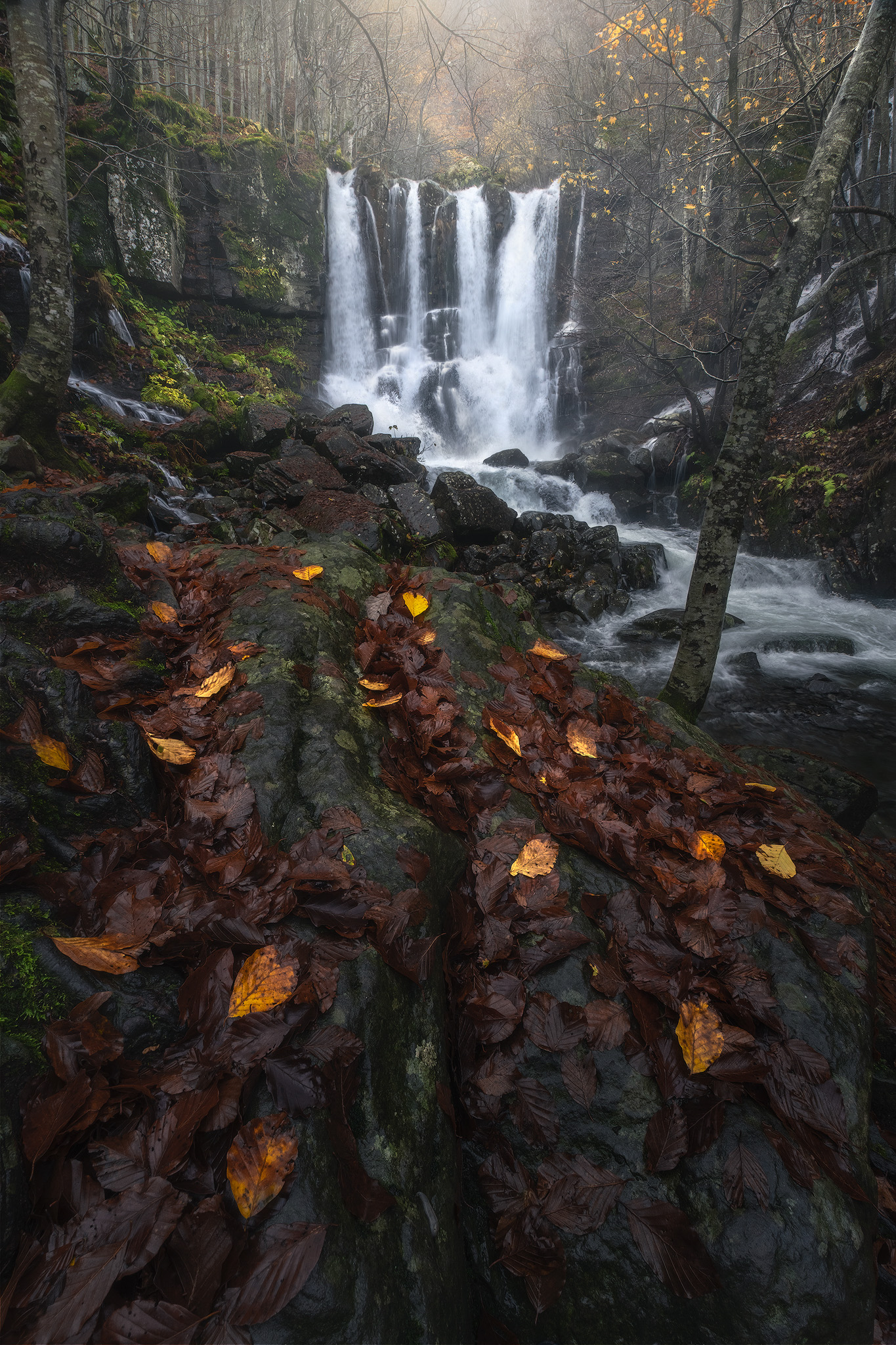 Autumn reflections, fine art photograph from the Waterfalls collection by Fabrizio Vinciguerra