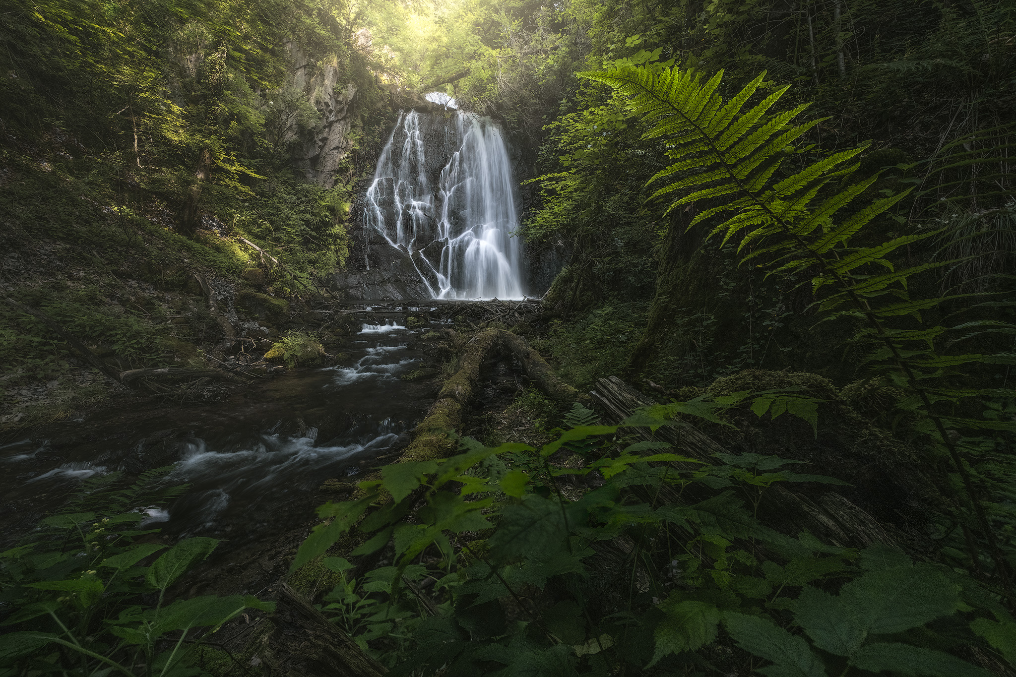 Fern waterfall, fine art photograph from the Waterfalls collection by Fabrizio Vinciguerra